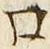 Chữ 口