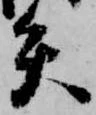 已定位矢
