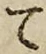文字 て