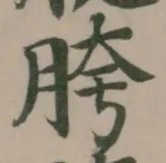 Đã định vị 胯