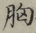 Chữ 胸