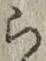 字ら