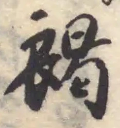 褐の位置