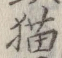 位置 確認된 猫
