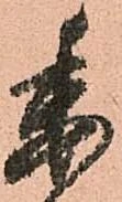 已定位委