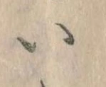 𛀆 위치 확인됨