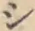 文字 シ