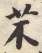 芣 위치 확인됨