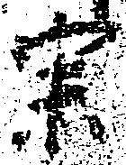位置定マレル宗