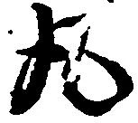 已定位丸