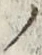 字ノ