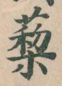 蔾 위치 확인됨