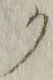 “ク”字