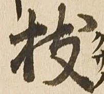 已定位枝