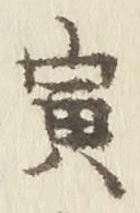 Character 寅
