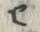 “セ”字