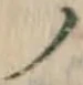 “ノ”字