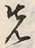 글자 先