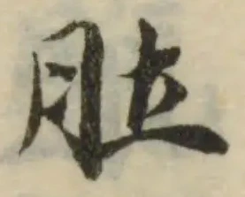 肚，已得其位