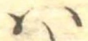 𛂞 위치 확인됨