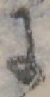 𛂌 위치 확인됨