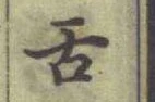 文字舌