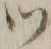 文字 ツ