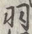羽 위치 확인됨