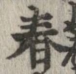 位置 確認된 春