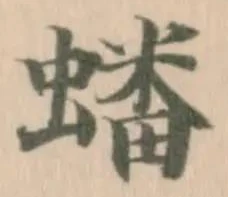 蟠の位置