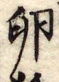 位置 確認된 卵