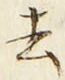 글자 去