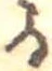 位置 確認된 𛃻