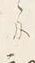 文字和