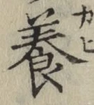 Chữ 養