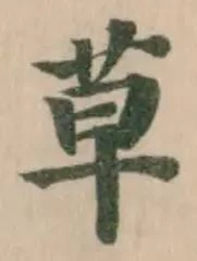 草 위치 확인됨