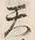 文字天