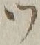 文字 ツ
