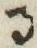 文字 る