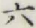 글자 六