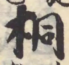 桐の位置
