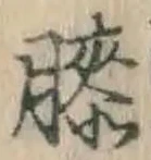 Chữ 膝