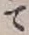 文字 て