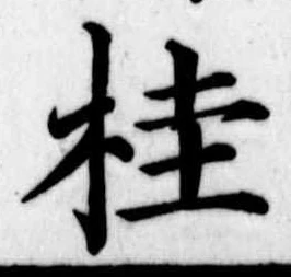 桂 위치 확인됨
