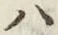 “ハ”字
