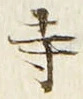 글자 寺