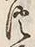 “つ”字