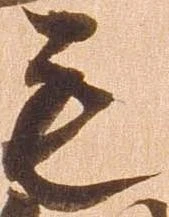 毛 위치 확인됨