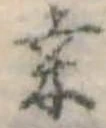 Đã định vị 桑
