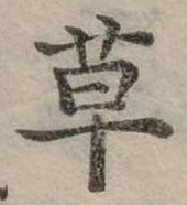 草 위치 확인됨